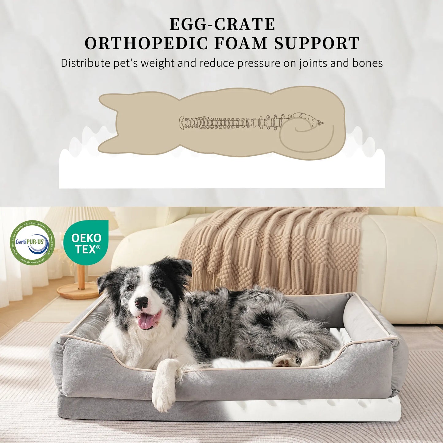 FAIRYPET Premium Soothing Sofa Pet Bed for Dogs and Cats | Removable, Machine-Washable Design | Soft, Durable Dutch Fleece with Non-Slip Base for Small and Medium Pets
