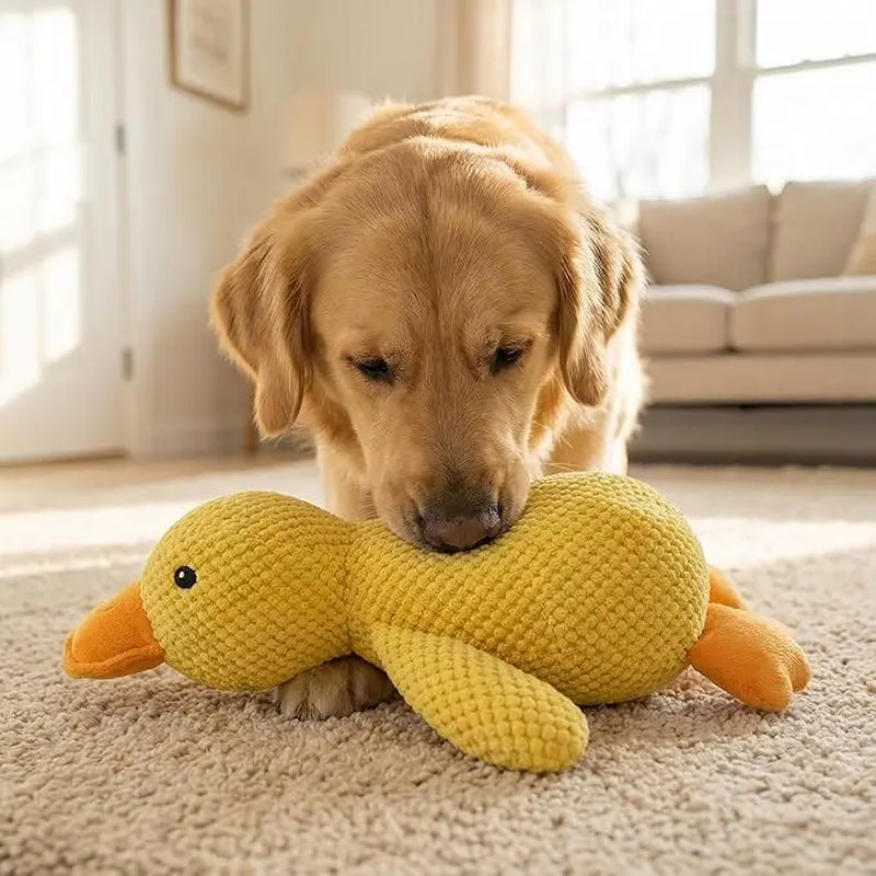 Plush Squeaky Duck Dog Toy - Ultra-Soft Corduroy Chew and Tug Toy with Built-In Sound, Durable and Safe Interactive Plaything for Dogs and Puppies